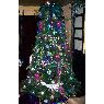 Sapin de Noël de Derek Gamble (Peacock Theme Tree) (Duncannon, PA, USA)