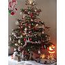 Nicolas's Christmas tree from Romorantin, France