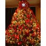 Denise Piccolo's Christmas tree from Brooklyn, NY