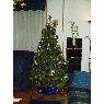 Monica's Christmas tree from Asturias, España