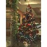 Marielle's Christmas tree from Alicante, España