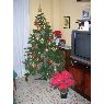 Juncal's Christmas tree from Granada, España