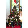 Susana Laucirica's Christmas tree from Argentina
