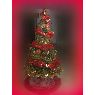 Famiglia Vario's Christmas tree from Trapani, Sicily, Italy
