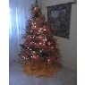 Assunta Mazzeo de Sistilli's Christmas tree from Puerto Ordaz - Guayana - Venezuela