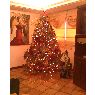 Nila Perez's Christmas tree from Maracaibo, Venezuela