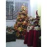 Luis Bedoya's Christmas tree from Medellin, Colombia