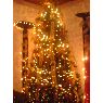 Mario Arturo Ruano's Christmas tree from Guatemala, Guatemala
