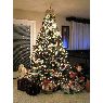 -'s Christmas tree from USA