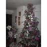 Orany  Milano's Christmas tree from Caracas, Venezuela