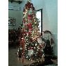 adlso's Christmas tree from Barinas, Venezuela