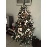 Sardin's Christmas tree from Angouléme, France