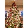 Jan Dalton's Christmas tree from Liverpool, NY, USA