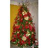 Nohely Arrieche Luengo's Christmas tree from Maracaibo, Venezuela