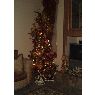 Weihnachtsbaum von Mary Johnson (Mesa, AZ, USA)