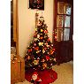 Weihnachtsbaum von Puri (Sevilla, España)