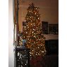 Weihnachtsbaum von Ginny Christenson (Charleston, SC, USA)