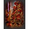 Yvonne Dashiell's Christmas tree from USA