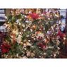 Weihnachtsbaum von David Niles (Conyers, Ga, USA)