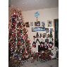 Xavier Sacta & Linda Abad's Christmas tree from Ridgewood, New York, USA