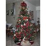 Adriana Rodriguez's Christmas tree from Caracas, Venezuela