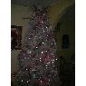 Aura Reyes's Christmas tree from Zulia, Venezuela