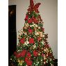 Judith Zuleima Acevedo Hernandez's Christmas tree from Venezuela