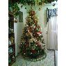 Delvalle Sáez's Christmas tree from Barcelona, Venezuela