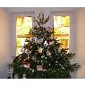 Patrick Keller's Christmas tree from Itterswiller, France