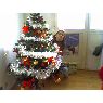Weihnachtsbaum von Paula Mihai (Romania)