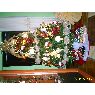 Weihnachtsbaum von Carlos Fabian (Logroño)