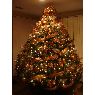 Denise Piccolo's Christmas tree from Brookyln, NY, USA