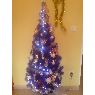 Noah's Christmas tree from Valladolid, España