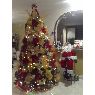 Árbol de Navidad de Laura Perez (San Diego, Venezuela)