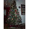 Eder Jofre Fernandez's Christmas tree from Valencia, Venezuela