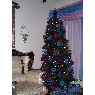 Árbol de Navidad de Maria Madera (Bronx, New York, USA)