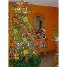 Weihnachtsbaum von SAMUEL R. (MARACAIBO)