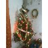 Nila Intriago's Christmas tree from Manta, Ecuador