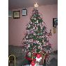 Jessica Castro's Christmas tree from México
