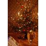 Ingars Menniks's Christmas tree from Riga, Latvia