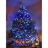 Weihnachtsbaum von Tristan (Montreal, Quebec ,Canada)