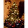 SuSiE cRuZ's Christmas tree from USA