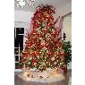 Radames Rodriguez Aponte's Christmas tree from Puerto Rico