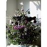 Merour's Christmas tree from Noyal-Châtillon-sur-Seiche (35), France
