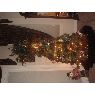 Weihnachtsbaum von Sarah J (Scottsdale, AZ, USA )