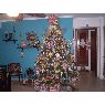 Diyuly Chourio's Christmas tree from Maracaibo, Venezuela