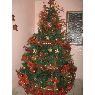 Weihnachtsbaum von MARIA DABOIN (VENEZUELA FALCON)