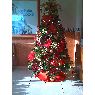 Maritza Tavarez de Rodriguez 's Christmas tree from San Pedro de Macoris, República Dominicana