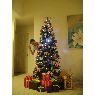 Lena Tanaka's Christmas tree from USA