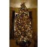Árbol de Navidad de Vania Hernandez (San Jose, USA)